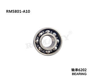 6202 bearing